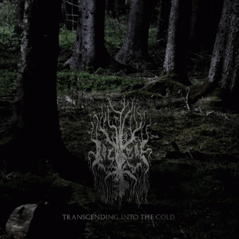 Rosaceae : Transcending into the Cold